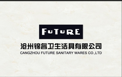 CangZhou Future Sanitaryware Co.,Ltd.