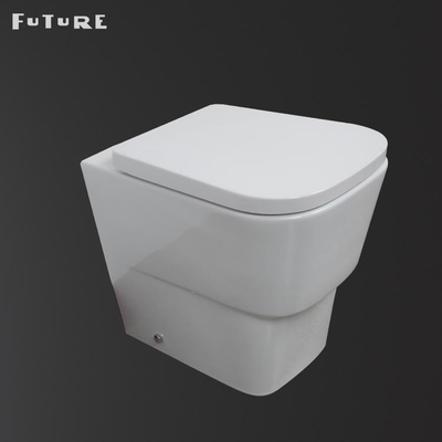 Dual Flush Buttons Modern Toilet Back To Wall P Trap WC 350mm Width