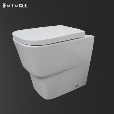 Dual Flush Buttons Modern Toilet Back To Wall P Trap WC 350mm Width