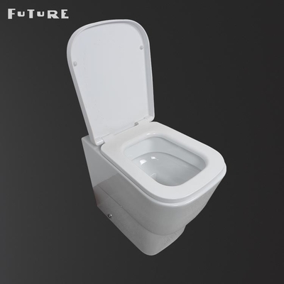 Dual Flush Buttons Modern Toilet Back To Wall P Trap WC 350mm Width