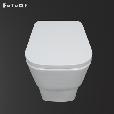 Dual Flush Buttons Modern Toilet Back To Wall P Trap WC 350mm Width