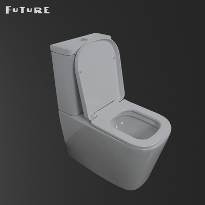 Soft Close Seat Cover Close Coupled Bathroom Toilet Dual Flush Buttons