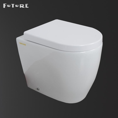 Water Resistance Rimless Comfort Height Back To Wall Toilet With Concealed Cistern