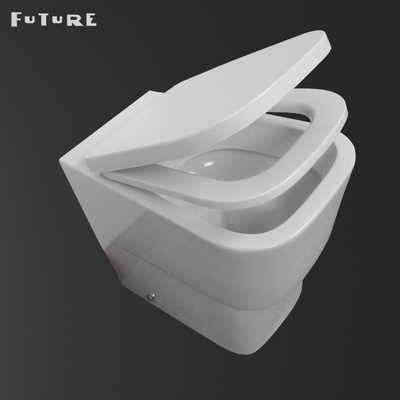 Water Resistance Rimless Comfort Height Back To Wall Toilet With Concealed Cistern