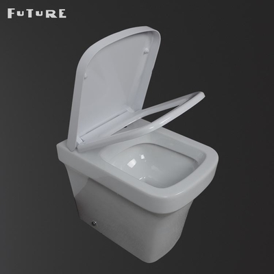Modern Antibacterial Back To Wall Comfort Height Toilet Washdown Flushing