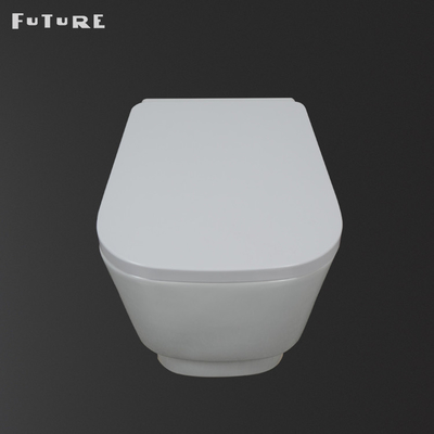 Rimless Wall Mount Toilet Concealed Tank Wear Resistance