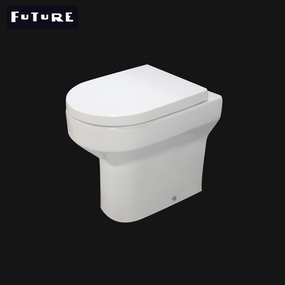 Silence Low Projection Fully Back To Wall Toilet Washdown Flushing