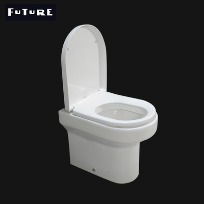 Silence Low Projection Fully Back To Wall Toilet Washdown Flushing