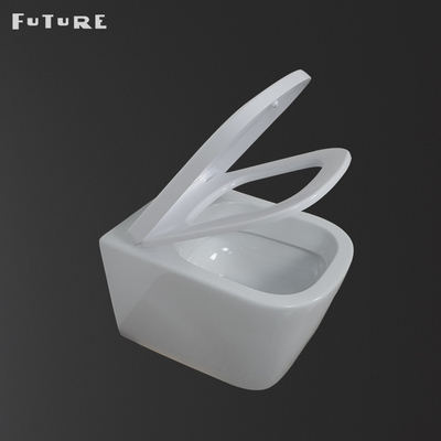 High Density Smart Commode Back To Wall Washdown Toilet Smooth Glazed