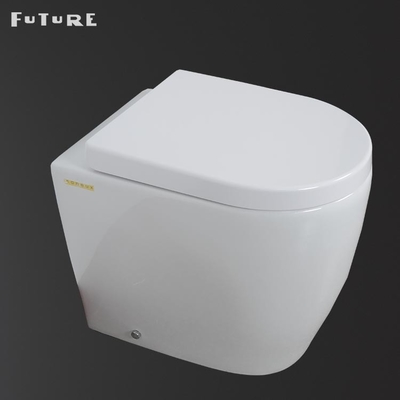 ISO9001 One Piece Smart Toilet Ideal Standard Btw Wc Pan 610*357*400MM