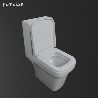 Washdown Flushing Close Coupled Bathroom Toilet Elongated Bowl For Apartment