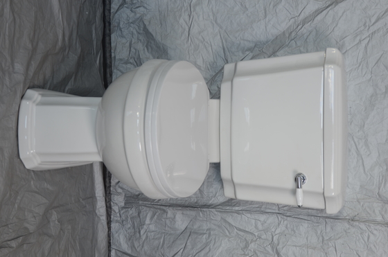Wall Mounted Fully Shrouded Rimless Toilet S Trap Close Coupled Toilet