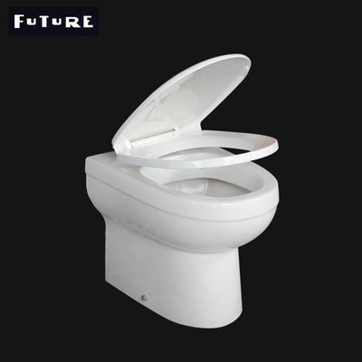 ISO9001 Cyclone Flushing Rimless Back To Wall Toilet With Concealed Cistern