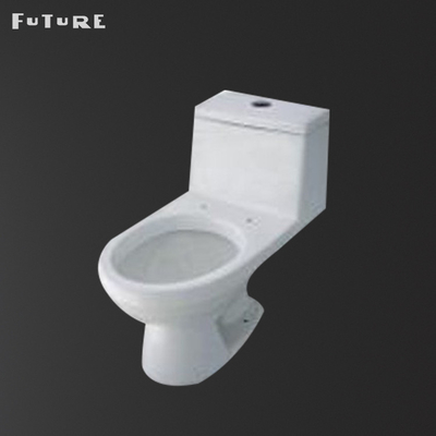 CE Siphonic One Piece Toilet Bowl Without Tank Automatic Deodorization