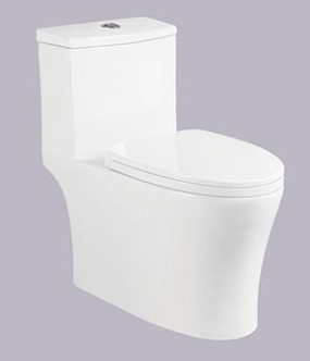 CE Siphonic One Piece Toilet Bowl Without Tank Automatic Deodorization