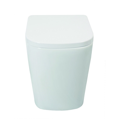 Smooth Glazed Ceramic One Piece Toilet WC  With Soft Close Seat Efficient Flushing