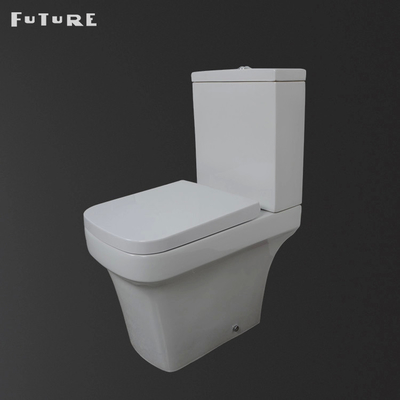 P Trap Mute Flushing Close Coupled Bathroom Toilet  Floor Mounted wc ISO9001