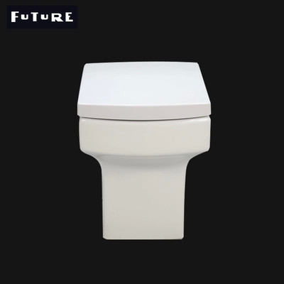 Washdown Flushing Square Close Coupled Toilet Back To Wall Wc Eco Friendly