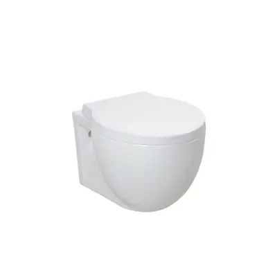 Rimless Wall Hung Toilet With Cistern Concealed Scratch resistant