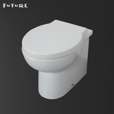 Space saving  Bathroom Back To Wall Toilet With Dual Flush Button 3L/6L