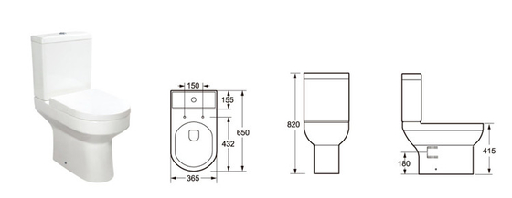 antiwear Two Piece Contemporary Close Coupled Toilet Elongated  Auto Deodorization