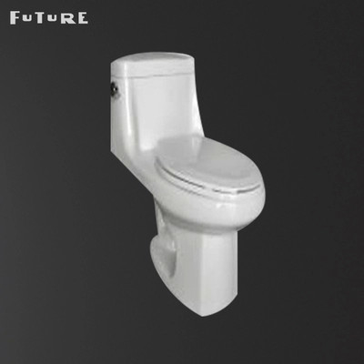 CE Auto Operation Siphonic One Piece Toilet With S Trap Round Dual Flush Toilet