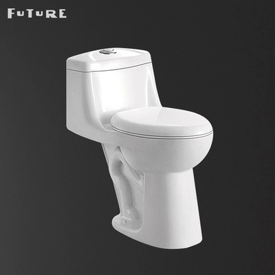 CE Auto Operation Siphonic One Piece Toilet With S Trap Round Dual Flush Toilet