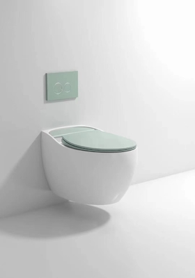Cistern Concealed Wall Hung Toilet Wall Mounted Wc ISO9001 Certified