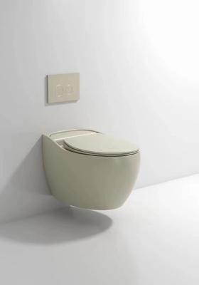 Smooth Glazed Beautiful Wall Mounted Commode With Cistern Concealed