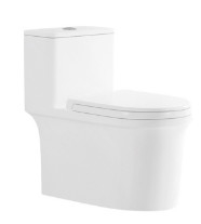 Stain Resistant Siphonic System Toilet Smooth Glazed Auto Deodorization