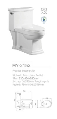 CE Anti Bacterial Siphonic One Piece Toilet With Dual Flush Ceramic Material