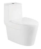 Water Saving Siphonic One Piece Toilet Ceramic Water Closet Gravity Flushing