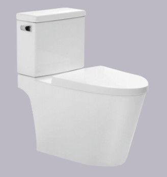 Automatic Operation 2 Piece Toilet With S Trap Water Saving Design