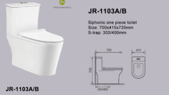 Self Cleaning Siphonic One Piece Ceramic Water Closet Elongated Bowl