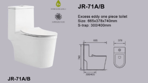 White Ceramic Excess Eddy  Single Piece Water Closet 740mm High Philippine Watercloset
