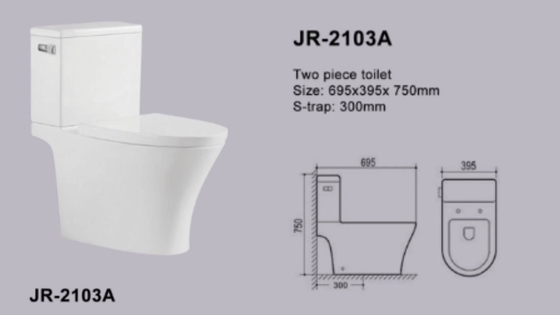 Rimless Siphon Flushing Single Piece Water Closet Automatic Deodorization