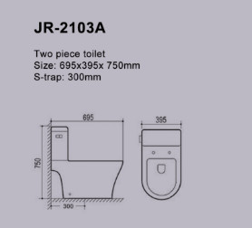 Rimless Siphon Flushing Single Piece Water Closet Automatic Deodorization