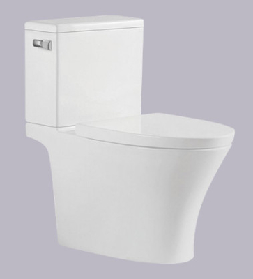 S Trap Two Piece Toilet Philippine Watercloset Washbasin 695*395*750mm