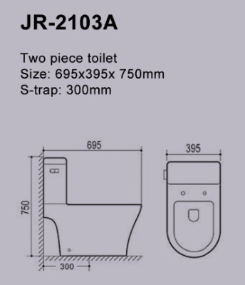 S Trap Two Piece Toilet Philippine Watercloset Washbasin 695*395*750mm