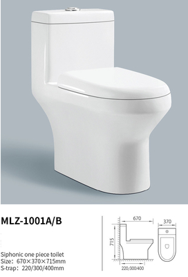 Economic One Piece Water Closet Siphon Flushing Sanitaryware Products
