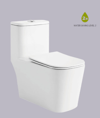 High Efficiency Siphonic Washdown Water Closet  675*375*710mm Philippine Watercloset