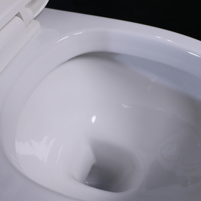 Water Saving Economic One Piece Siphon Jet Water Closet 680*375*745mm
