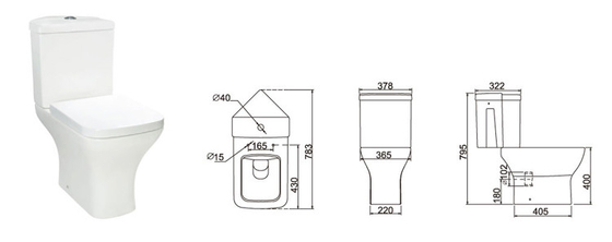 Standard Size Dual Flush 4.5L/3L Toilet - Projection Toilet for B2B Buyers
