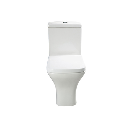 Standard Size Dual Flush 4.5L/3L Toilet - Projection Toilet for B2B Buyers